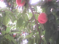 �R������