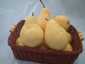 ���m���u���E���N�`�F�v